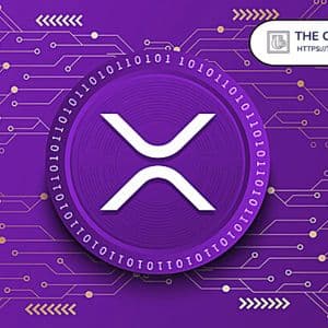 XRP Millionaire Wallets Rise for the First Time in Four Months