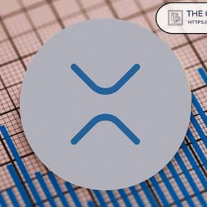 8 Public Firms Committed $2,000,000,000 in XRP Strategic Treasury Reserves