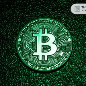 Bitcoin Wallet Linked to Nancy Guthrie Ransom Note Shows Activity