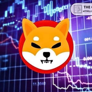 Shiba Inu Analysis for Feb 16: Is the Downtrend Over or Is $0.0000070 Resistance Just the Start?