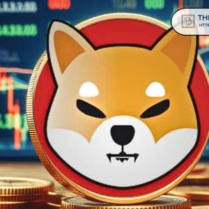 Shiba Inu Tokens Pouring into Exchanges—A New Setback for Rebound Prospect?