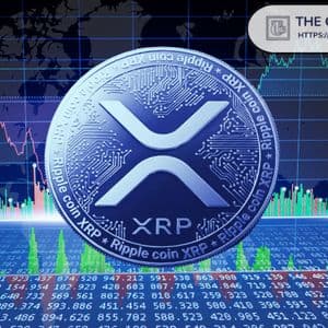 Whales Amassing 3,170,000,000 XRP, Now Hold Their Largest Supply Share in History