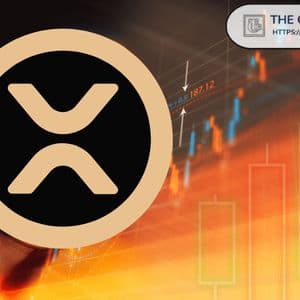 Here Is the Price XRP Needs to Fall to Before Reaching $200