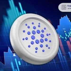 Major Cardano Whales and Sharks Add 819,400,000 ADA in 6 Months Despite Price Crash