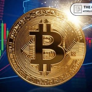 Nearly 50% of Bitcoin Supply Now in Loss: This Marked the Bottom in the Last Three Cycles