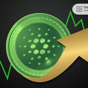 Trader Predicts How High Cardano Price Could go for Pump Phase