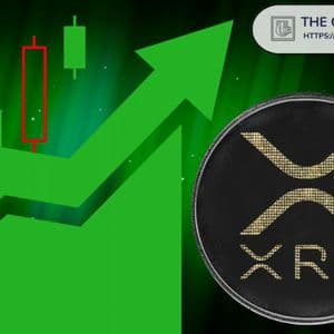 It’s All Coming Together for XRP, Says Korean Elliott Wave Analyst