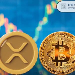 XRP Price as XRP Now Setting up for 600% Surge Against Bitcoin