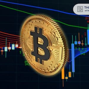 Bitcoin Entering Final Discount Phase Before the Next Bull Market
