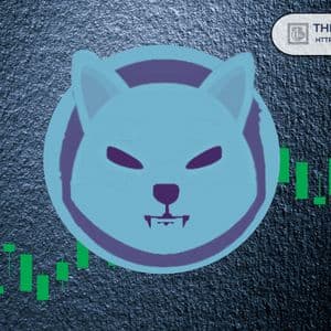 Shiba Inu On-Chain Update Shows Steady Growth in Holders, Crossing 1.55M