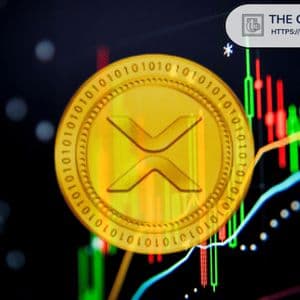 XRP EMA Crossover Shows When XRP Could Bottom This Cycle