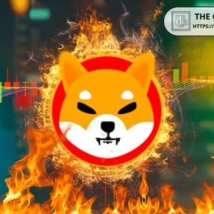 Shiba Inu Burn Rate Crashes 98% from March Peak