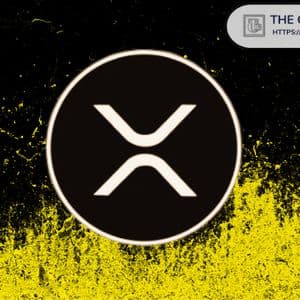 Extremely Good News for DeFi on XRP as SEC Signals Flexibility on Trading Interfaces