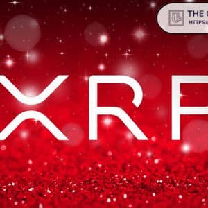 XRP Wallets Holding 1,000 to 100,000 Coins Hit 1.1M, Highest Level in History