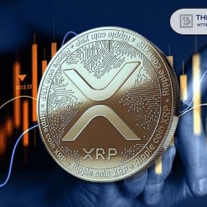 XRP Breaks Below Descending Triangle, But Here’s Why $9-$13 Is Still in Play