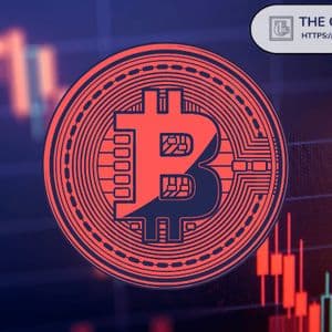 Why Bitcoin Suddenly Fell Below $76,000: CryptoQuant