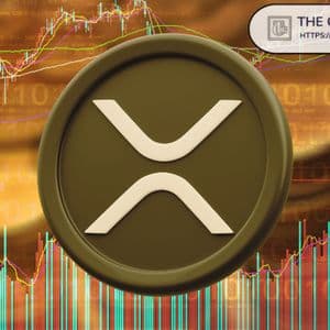 Most People Are Completely Misreading XRP Right Now, Says Long-Time Investor