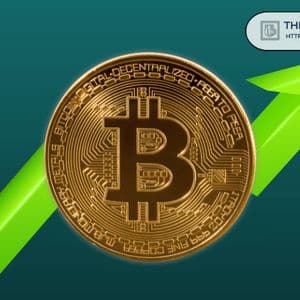 Bitcoin Network Growth Rebounding Fast, Hinting at End of Local Bottom: Glassnode