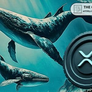 XRP Whale Transactions Worth $1M+ Crash 57% in 9 Days