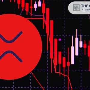 XRP Bear Trap Theory: Could This Be the Last Buying Opportunity Before a Violent Rally?