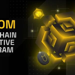 BNB Chain Foundation Completes New Rounds of Asset Purchases Under Its $100M Incentive Program