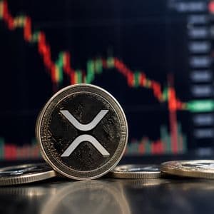 XRP tests crucial resistance as bullish data points to possible upside move