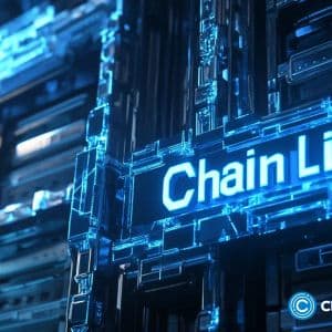 Chainlink price targets $20 as exchange outflows surge