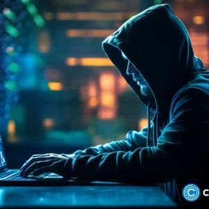 Sui-based Cetus Protocol offers $6M bounty to hacker after $223M exploit