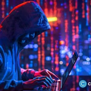 Cetus offers $5m reward for info on hacker