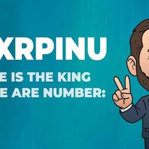 Meme Currency Reloaded: Why XRPINU Is More Than a Joke