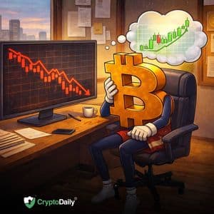 BTC Price Downtrend Continues: Bearish Momentum Dominates – But Relief Rally Possible? (Feb 19 Update)