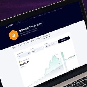 $100/Month in Bitcoin Since 2015 Would Have Turned $13,700 Into $632,000, Coinbird Analysis Shows