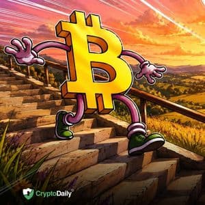 Bitcoin Continues Steady Decline: Is a Crash on the Horizon?