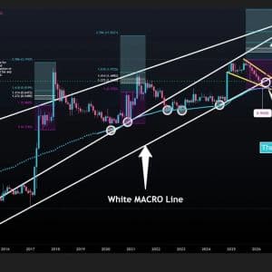 XRP Drops to $1.25 as Bear Trap Forms; RLUSD Launches in Turkey via 3 Platforms
