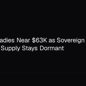 Bitcoin Steadies Near $63K as Sovereign Funds Buy Dip, 61% of Supply Stays Dormant