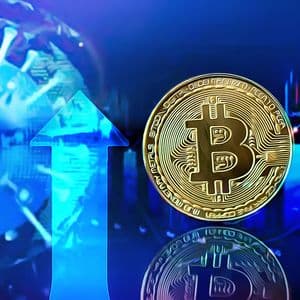 Bitcoin Mining Companies Thrive with Record Profits in 2025