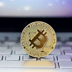 Bitcoin Investors Reap Profits While Prices Hold Steady at $120,000