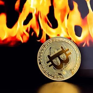 Bitcoin Battles to Maintain Momentum at $88,000