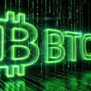 Bitcoin Ignites Optimism with First Weekly Rebound After Losing Streak