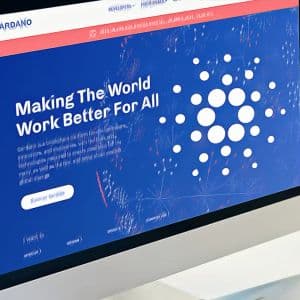 Cardano shows signs of accumulation amid flat price trend and high staking rates