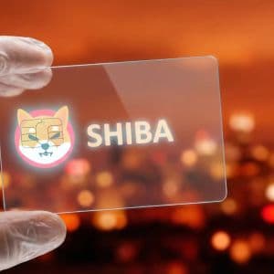 Shiba inu open interest drops over 7 percent as trading slows