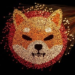 Shiba Inu reserves on exchanges surge to 61.8 trillion
