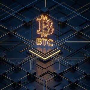 Bitcoin’s $40 pizza turns into $771 million after 16 years