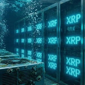 XRP gains 4,300 new wallets in just 24 hours