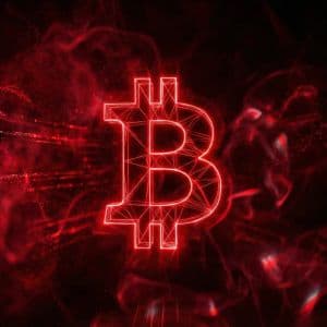Wrapped bitcoin active addresses plunge to 2,134 in May