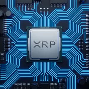 XRP whale transactions drop 57 percent in just 9 days