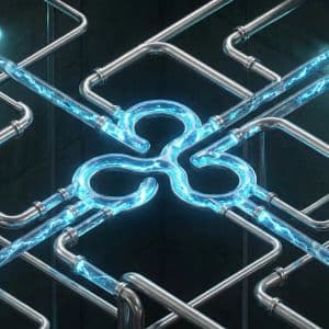 Over 25 million XRP pulled from exchanges in a day! What are investors signaling?