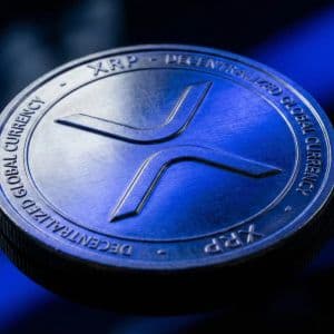 Active accounts on XRP Ledger plunged by 61%! What does this sharp decline mean for investors?