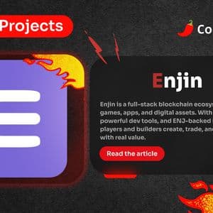 Spicy Projects #19: Enjin