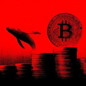Binance bitcoin reserves hit 676,834 BTC after 760M whale transfer